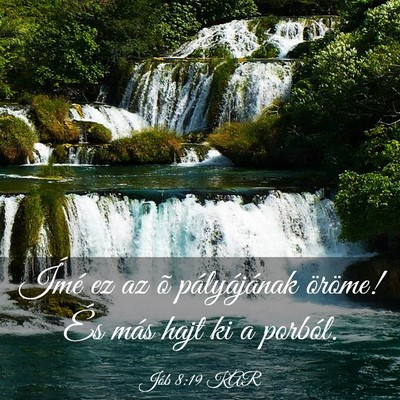 Picture 03 - Jób 8:19 KAR - Ímé ez az õ pályájának öröme! És más - Bible Verse Picture