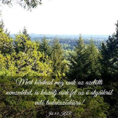 Picture 03 - Jób 8:8 KAR - Mert kérdezd meg csak az azelõtti nemzedéket, - Bible Verse Picture