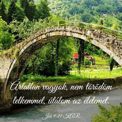 Picture 03 - Jób 9:21 KAR - Ártatlan vagyok, nem törõdöm lelkemmel, - Bible Verse Picture