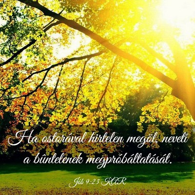 Picture 03 - Jób 9:23 KAR - Ha ostorával hirtelen megöl, neveti a - Bible Verse Picture