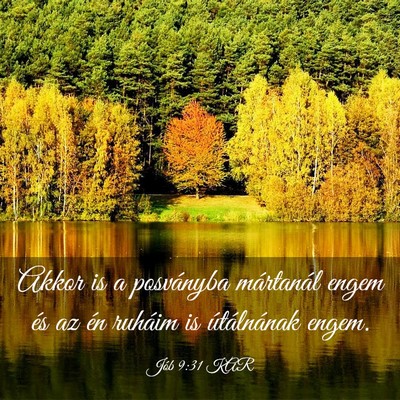 Picture 03 - Jób 9:31 KAR - Akkor is a posványba mártanál engem és az én - Bible Verse Picture