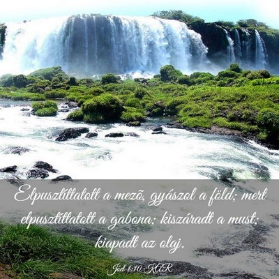 Picture 03 - Jóel 1:10 KAR - Elpusztíttatott a mezõ, gyászol a föld; mert - Bible Verse Picture