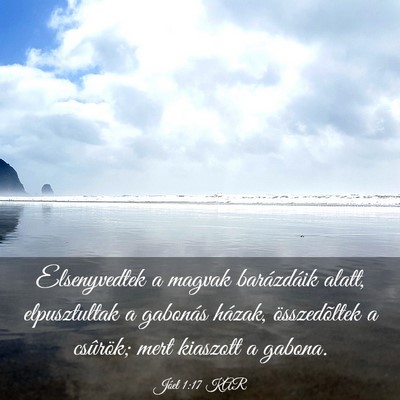 Picture 03 - Jóel 1:17 KAR - Elsenyvedtek a magvak barázdáik alatt, - Bible Verse Picture