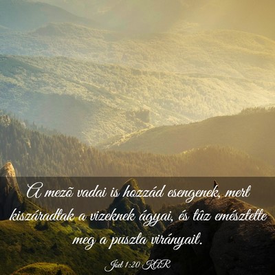 Picture 03 - Jóel 1:20 KAR - A mezõ vadai is hozzád esengenek, mert - Bible Verse Picture