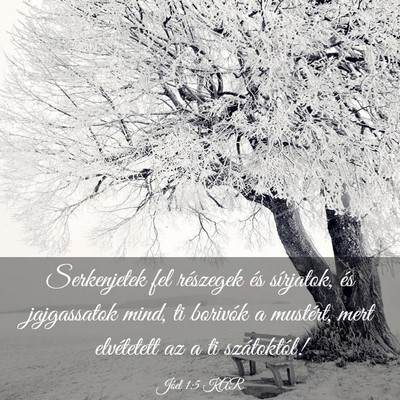 Picture 03 - Jóel 1:5 KAR - Serkenjetek fel részegek és sírjatok, és - Bible Verse Picture