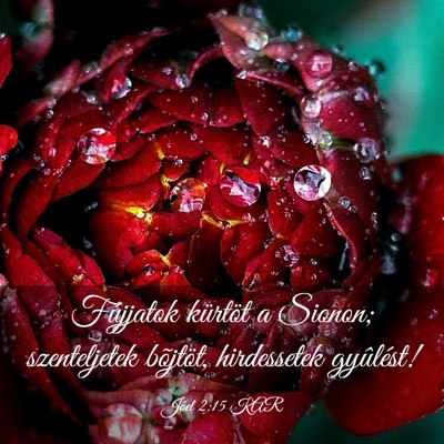Picture 03 - Jóel 2:15 KAR - Fújjatok kürtöt a Sionon; szenteljetek - Bible Verse Picture