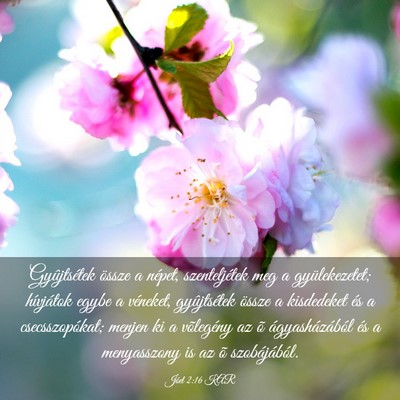 Picture 03 - Jóel 2:16 KAR - Gyûjtsétek össze a népet, szenteljétek meg a - Bible Verse Picture