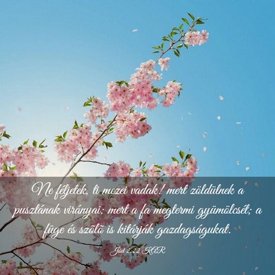 Picture 03 - Jóel 2:22 KAR - Ne féljetek, ti mezei vadak! mert zöldülnek a - Bible Verse Picture