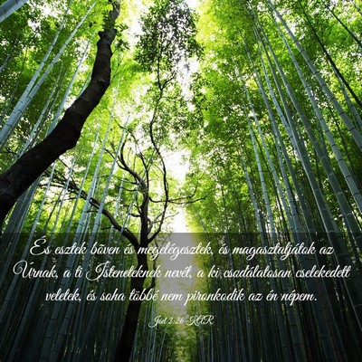Picture 03 - Jóel 2:26 KAR - És esztek bõven és megelégesztek, és - Bible Verse Picture