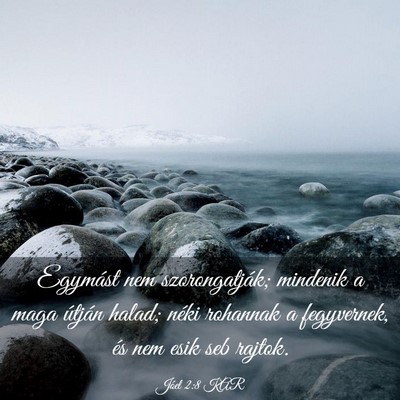 Picture 03 - Jóel 2:8 KAR - Egymást nem szorongatják; mindenik a maga - Bible Verse Picture