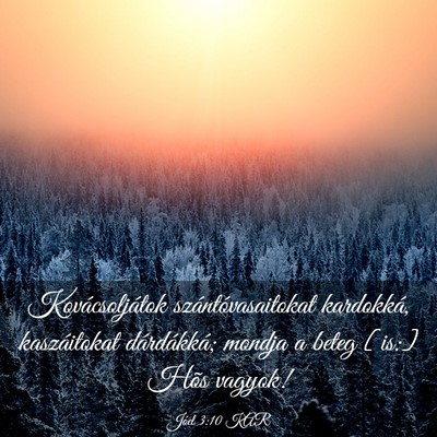 Picture 03 - Jóel 3:10 KAR - Kovácsoljátok szántóvasaitokat kardokká, - Bible Verse Picture