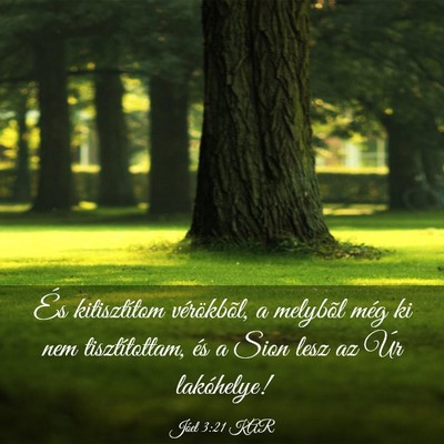 Picture 03 - Jóel 3:21 KAR - És kitisztítom vérökbõl, a melybõl még ki - Bible Verse Picture