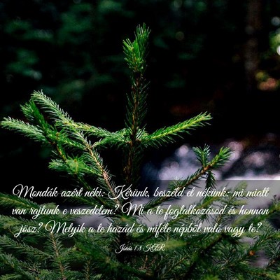 Picture 03 - Jónás 1:8 KAR - Mondák azért néki: Kérünk, beszéld el - Bible Verse Picture