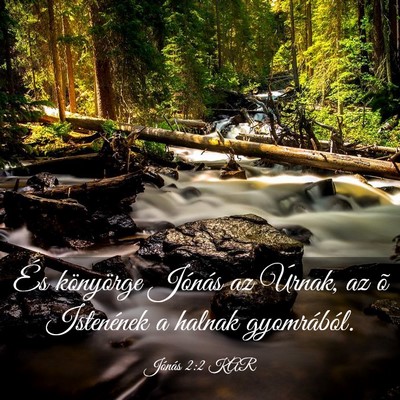Picture 03 - Jónás 2:2 KAR - És könyörge Jónás az Úrnak, az õ - Bible Verse Picture