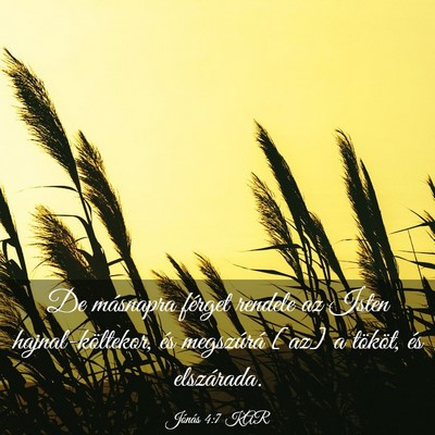 Picture 03 - Jónás 4:7 KAR - De másnapra férget rendele az Isten - Bible Verse Picture