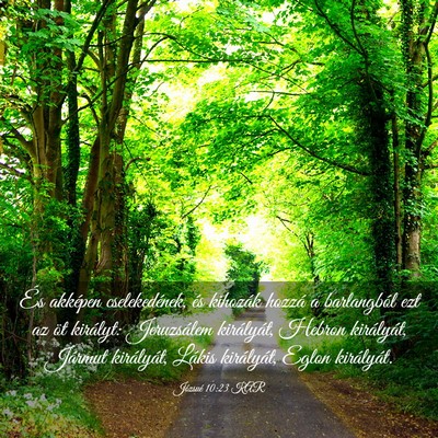 Picture 03 - Józsué 10:23 KAR - És akképen cselekedének, és kihozák hozzá a - Bible Verse Picture