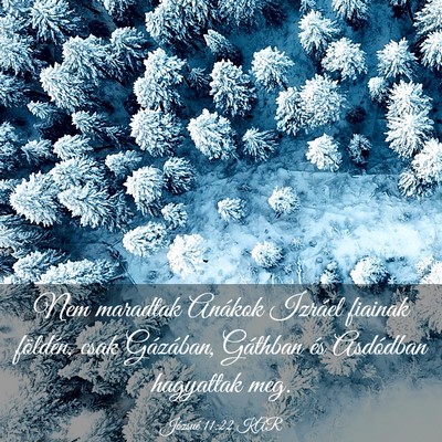 Picture 03 - Józsué 11:22 KAR - Nem maradtak Anákok Izráel fiainak földén, - Bible Verse Picture