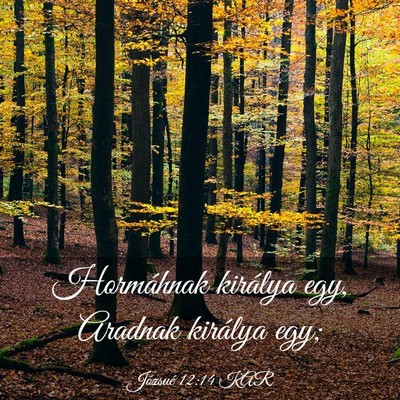 Picture 03 - Józsué 12:14 KAR - Hormáhnak királya egy, Aradnak királya - Bible Verse Picture