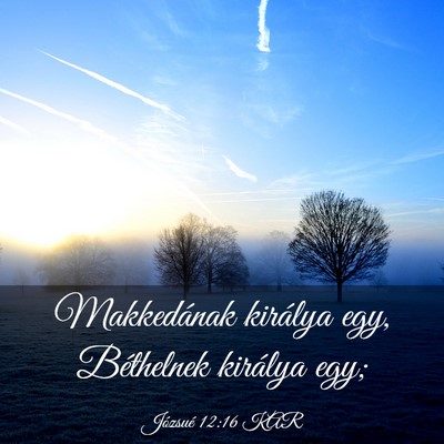Picture 03 - Józsué 12:16 KAR - Makkedának királya egy, Béthelnek királya - Bible Verse Picture