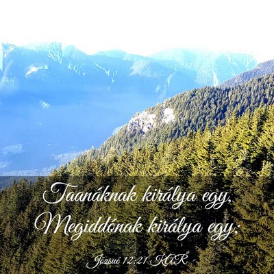 Picture 03 - Józsué 12:21 KAR - Taanáknak királya egy, Megiddónak királya - Bible Verse Picture
