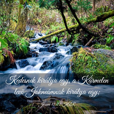 Picture 03 - Józsué 12:22 KAR - Kedesnek királya egy, a Kármelen levõ - Bible Verse Picture
