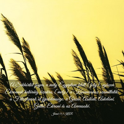 Picture 03 - Józsué 13:3 KAR - A Sikhórtól fogva, a mely Égyiptom felett - Bible Verse Picture