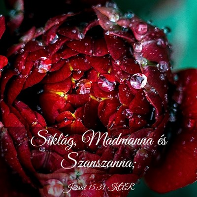 Picture 03 - Józsué 15:31 KAR - Siklág, Madmanna és - Bible Verse Picture
