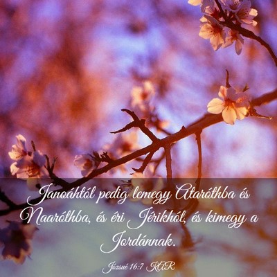 Picture 03 - Józsué 16:7 KAR - Janoáhtól pedig lemegy Ataróthba és - Bible Verse Picture