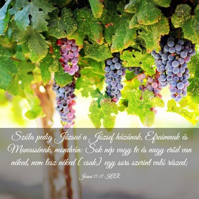 Picture 03 - Józsué 17:17 KAR - Szóla pedig Józsué a József házának, - Bible Verse Picture
