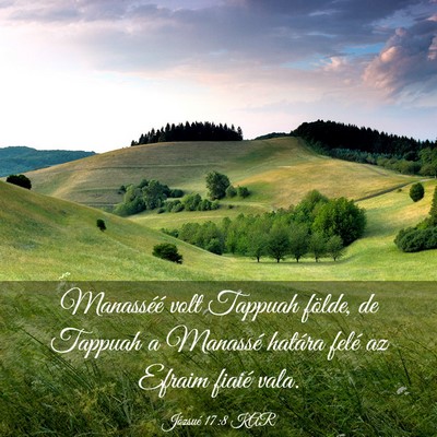 Picture 03 - Józsué 17:8 KAR - Manasséé volt Tappuah földe, de Tappuah a - Bible Verse Picture