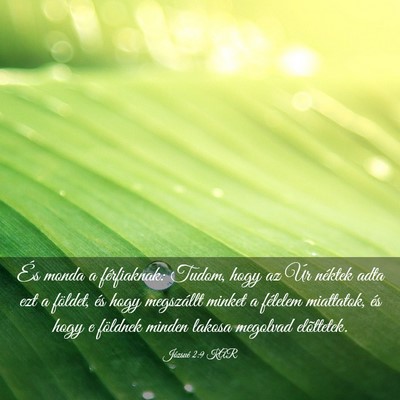 Picture 03 - Józsué 2:9 KAR - És monda a férfiaknak: Tudom, hogy az Úr - Bible Verse Picture
