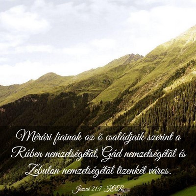 Picture 03 - Józsué 21:7 KAR - Mérári fiainak az õ családjaik szerint a - Bible Verse Picture