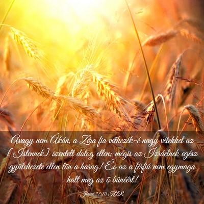 Picture 03 - Józsué 22:20 KAR - Avagy nem Ákán, a Zéra fia vétkezék-é nagy - Bible Verse Picture