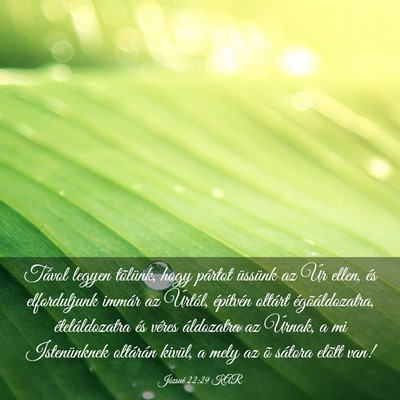 Picture 03 - Józsué 22:29 KAR - Távol legyen tõlünk, hogy pártot üssünk az - Bible Verse Picture