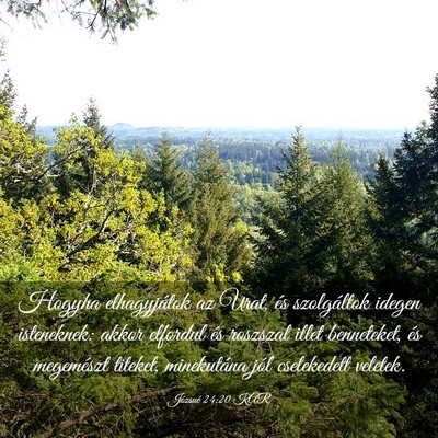 Picture 03 - Józsué 24:20 KAR - Hogyha elhagyjátok az Urat, és szolgáltok - Bible Verse Picture