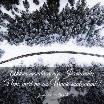 Picture 03 - Józsué 24:21 KAR - Akkor monda a nép Józsuénak: Nem, mert mi az - Bible Verse Picture
