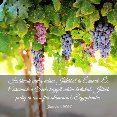 Picture 03 - Józsué 24:4 KAR - Izsáknak pedig adám Jákóbot és Ézsaut. És - Bible Verse Picture