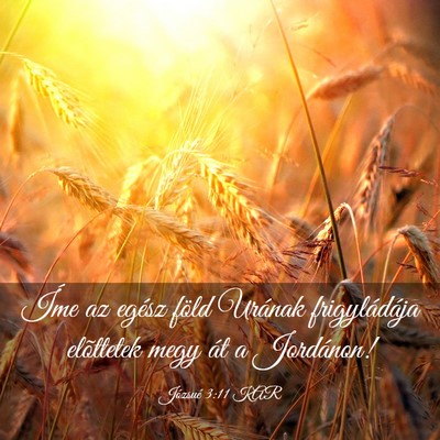 Picture 03 - Józsué 3:11 KAR - Íme az egész föld Urának frigyládája - Bible Verse Picture