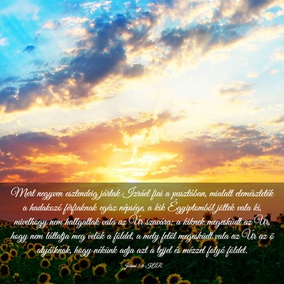 Picture 03 - Józsué 5:6 KAR - Mert negyven esztendeig jártak Izráel fiai a - Bible Verse Picture