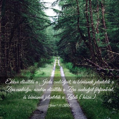 Picture 03 - Józsué 7:17 KAR - Ekkor elõállítá a Júda családjait, és - Bible Verse Picture