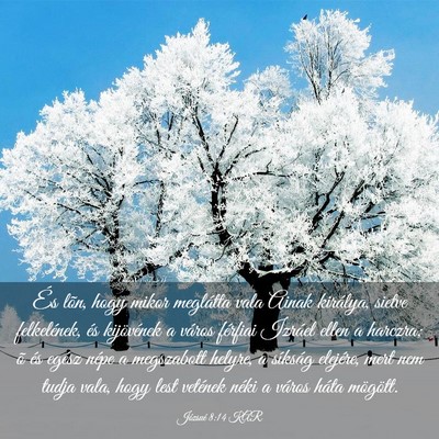 Picture 03 - Józsué 8:14 KAR - És lõn, hogy mikor meglátta vala Ainak - Bible Verse Picture
