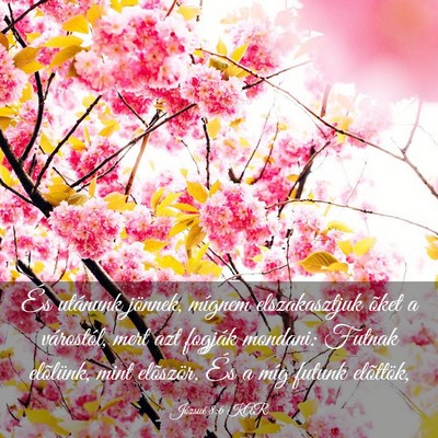 Picture 03 - Józsué 8:6 KAR - És utánunk jönnek, mígnem elszakasztjuk õket - Bible Verse Picture