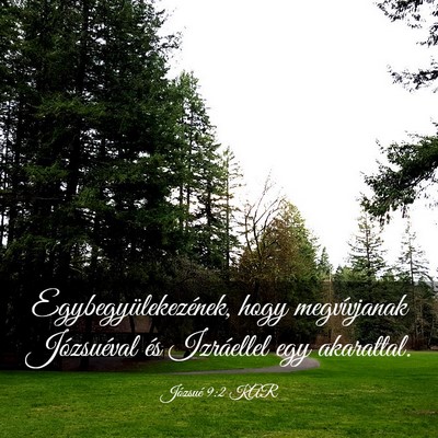 Picture 03 - Józsué 9:2 KAR - Egybegyülekezének, hogy megvívjanak - Bible Verse Picture