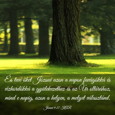 Picture 03 - Józsué 9:27 KAR - És tevé õket Józsué azon a napon - Bible Verse Picture