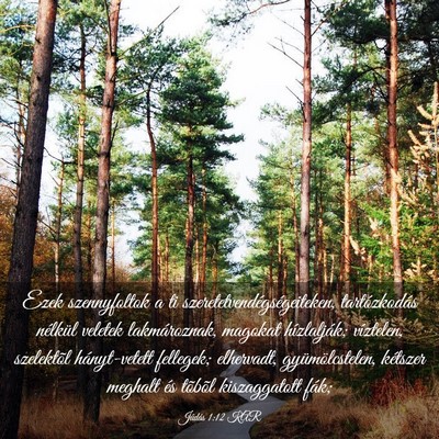 Picture 03 - Júdás 1:12 KAR - Ezek szennyfoltok a ti - Bible Verse Picture