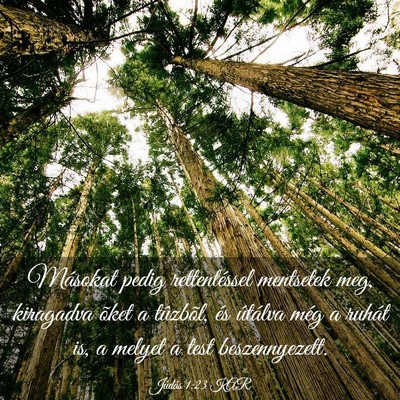 Picture 03 - Júdás 1:23 KAR - Másokat pedig rettentéssel mentsetek meg, - Bible Verse Picture