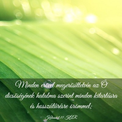 Picture 03 - Kolossé 1:11 KAR - Minden erõvel megerõsíttetvén az Õ - Bible Verse Picture