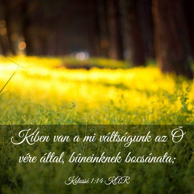 Picture 03 - Kolossé 1:14 KAR - Kiben van a mi váltságunk az Õ vére által, - Bible Verse Picture