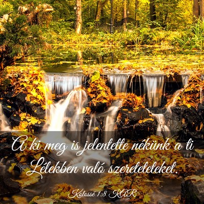 Picture 03 - Kolossé 1:8 KAR - A ki meg is jelentette nékünk a ti Lélekben - Bible Verse Picture