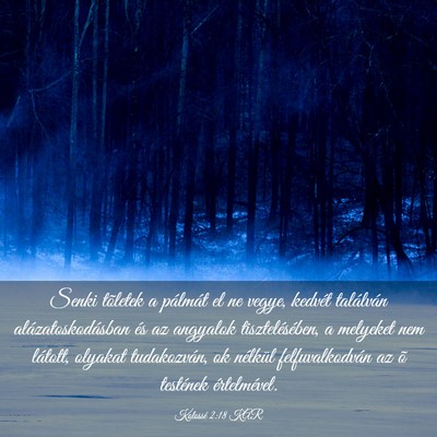 Picture 03 - Kolossé 2:18 KAR - Senki tõletek a pálmát el ne vegye, kedvét - Bible Verse Picture